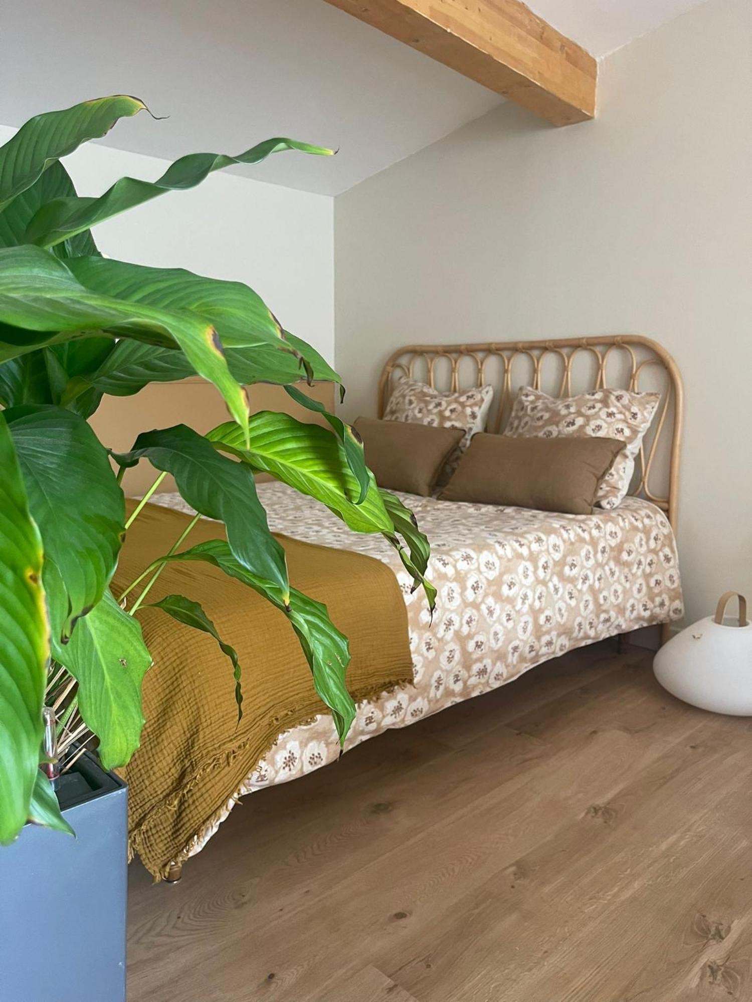 Studio Cosy Castanet-Tolosan Bagian luar foto